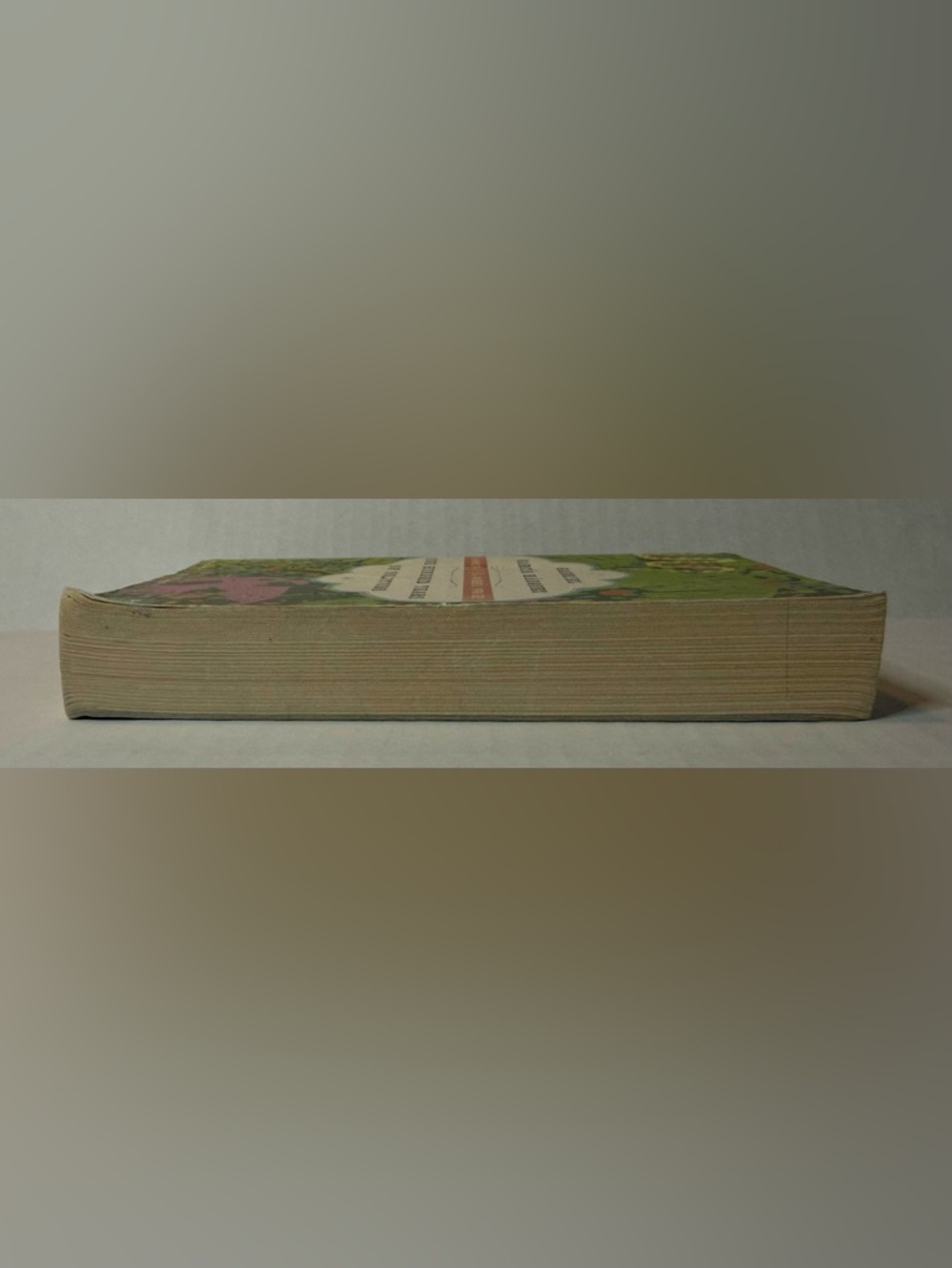 One Hundred Years of Solitude Paperback Book by Gabriel Garcia Marquez - Picture 5 of 11